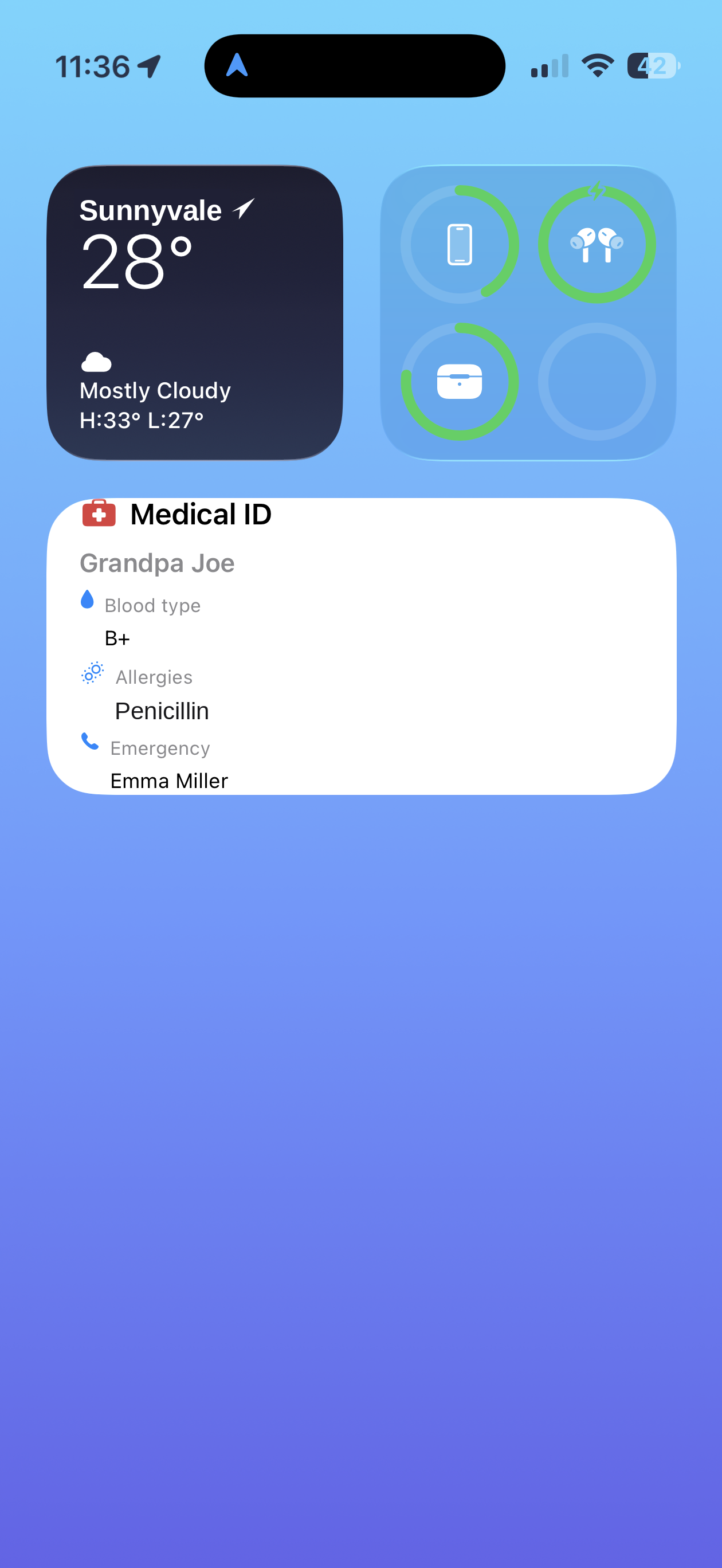 iPhone Home Screen with a Medical ID widget showing Grandpa Joe's blood type, penicillin allergy, and emergency contact.